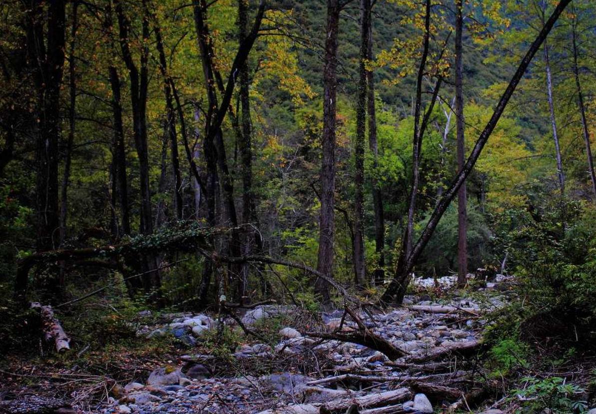 察隅自然保护区