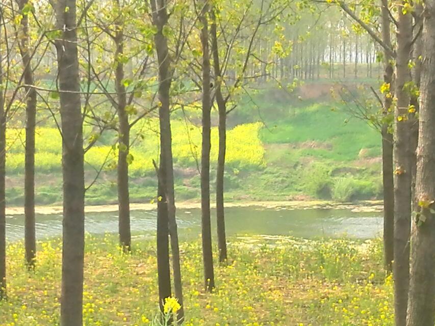 东经113°3035,北纬33°3050,属漯河市舞阳县孟寨镇