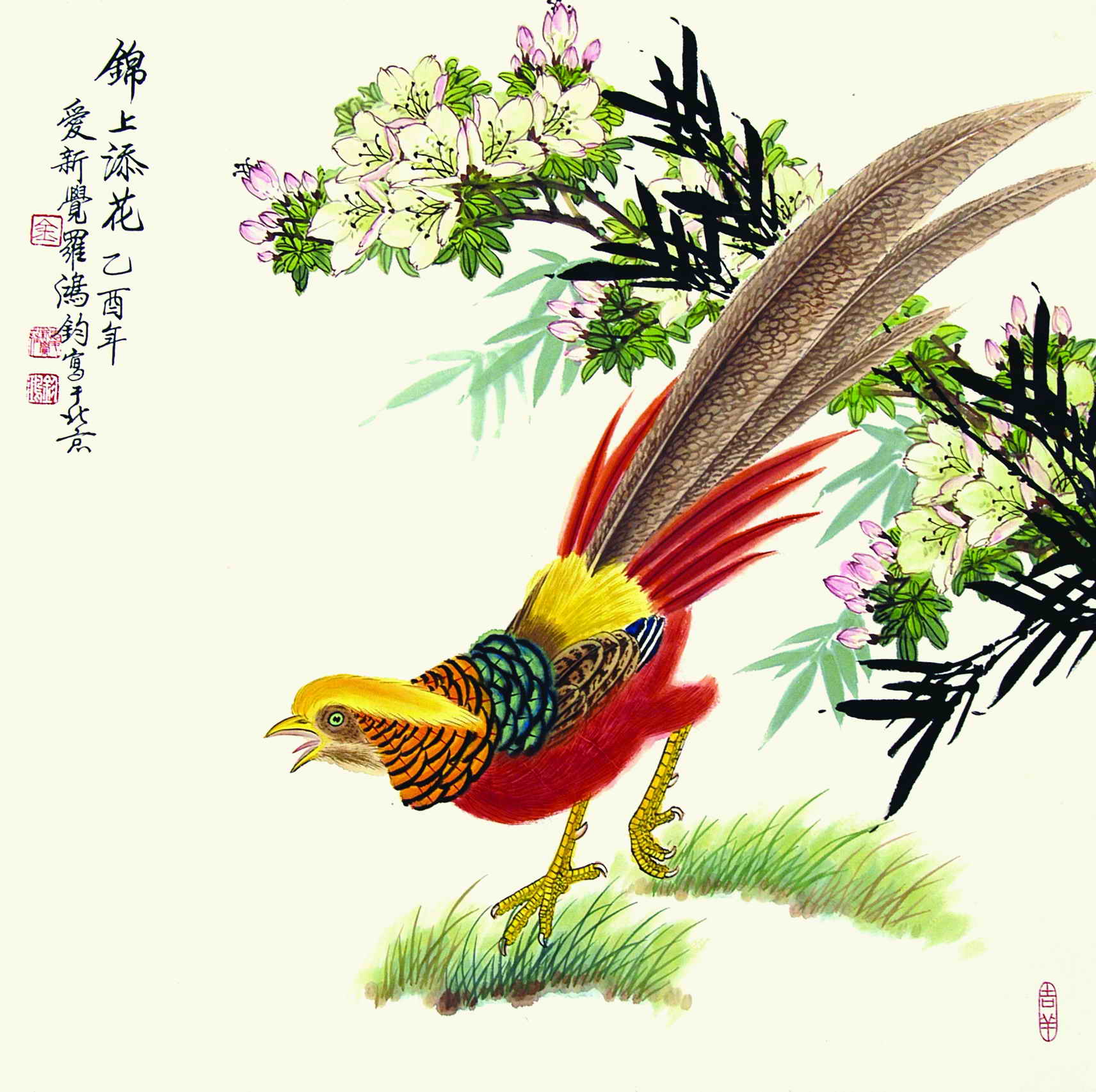 锦上添花