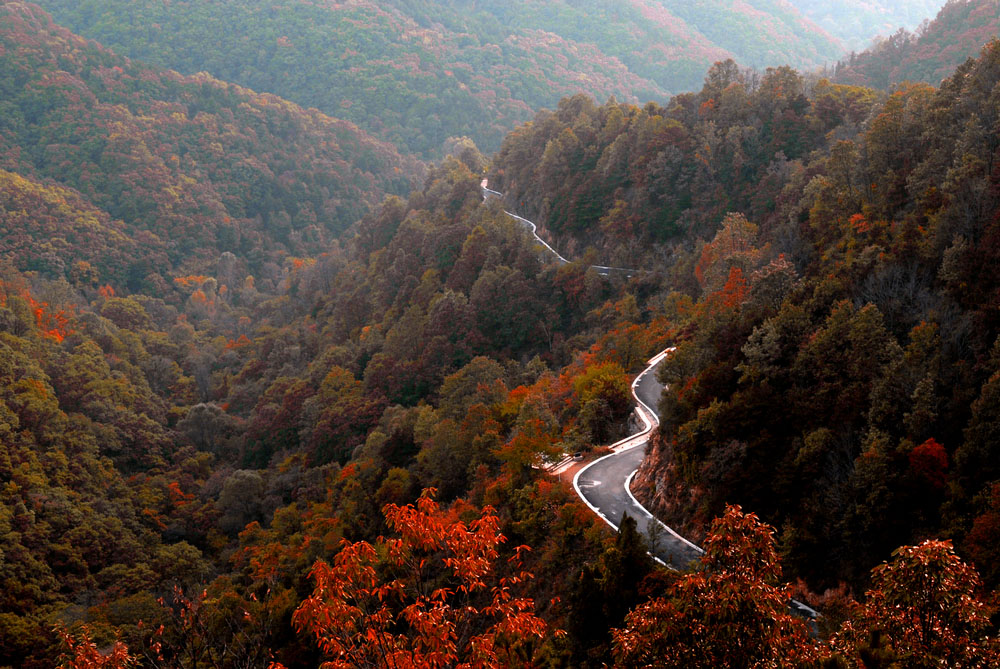 河南甘山国家森林公园