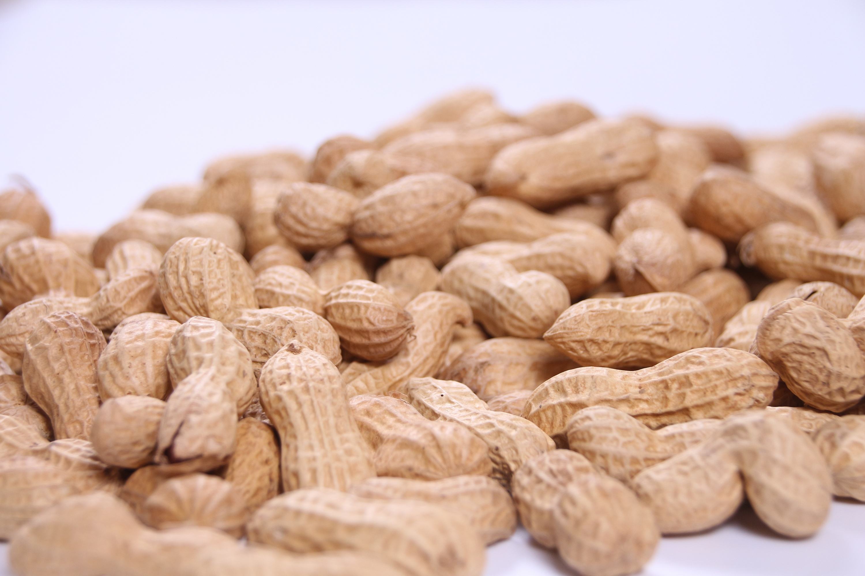 data-lemmaid="1119372">大悟县 /a>特产,中国国家地理标志产品