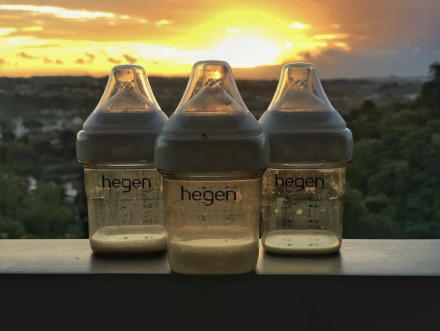 hegen_百度百科