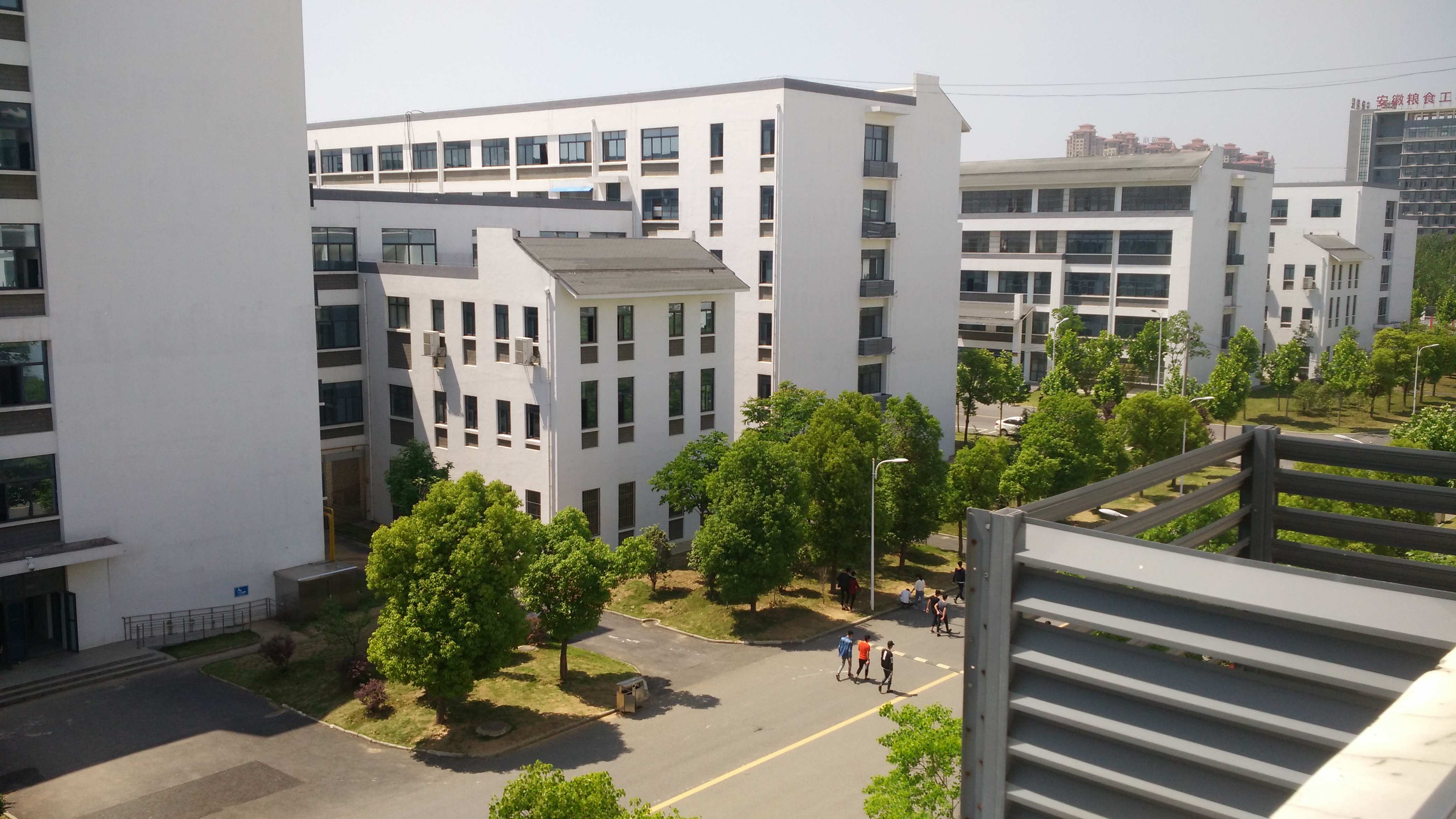合肥市经贸旅游学校