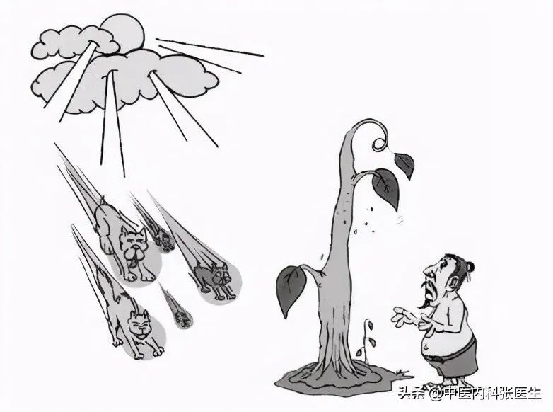 五“毒”月，避“六”邪，排“七”毒，让你一年安康_百科TA说