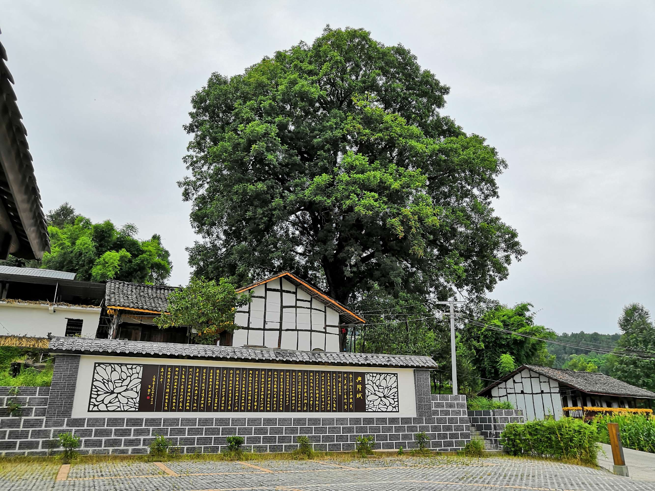  p>兴隆镇,隶属于四川省巴中市通江县,地处 a target="_blank" href="