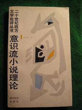 意识流小说理论/二十世纪西方文学批评丛书