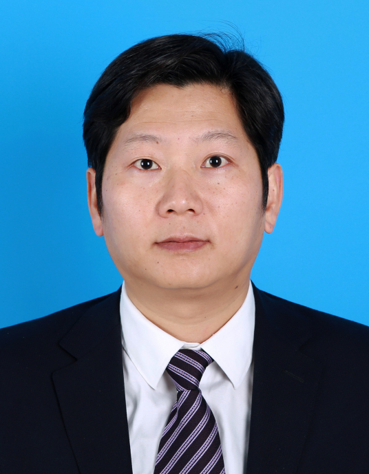 刘琦（复旦大学芯片与系统前沿技术研究院教授）_百度百科