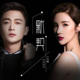 许佳慧（中国内地流行女歌手）_百度百科