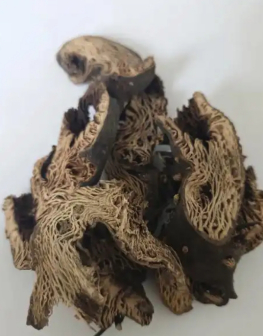升麻（毛茛科升麻属植物）_百度百科