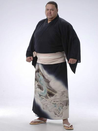  /p> p data-id="uqfrp95wptvk">曙太郎,1990年正式进入相扑顶级比赛.