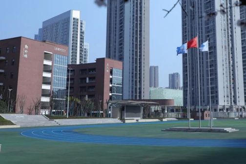 重庆两江新区西南大学附属中学_百度百科