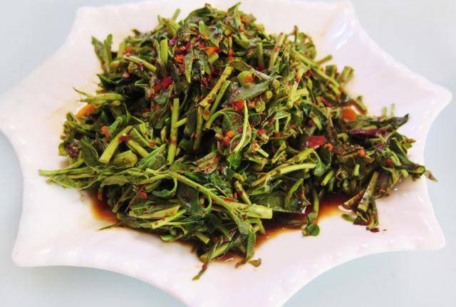 凉拌香椿芽