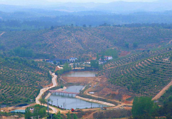  p data-id="gnyxu6j36b">殷店镇,隶属于湖北省随州市 a target="