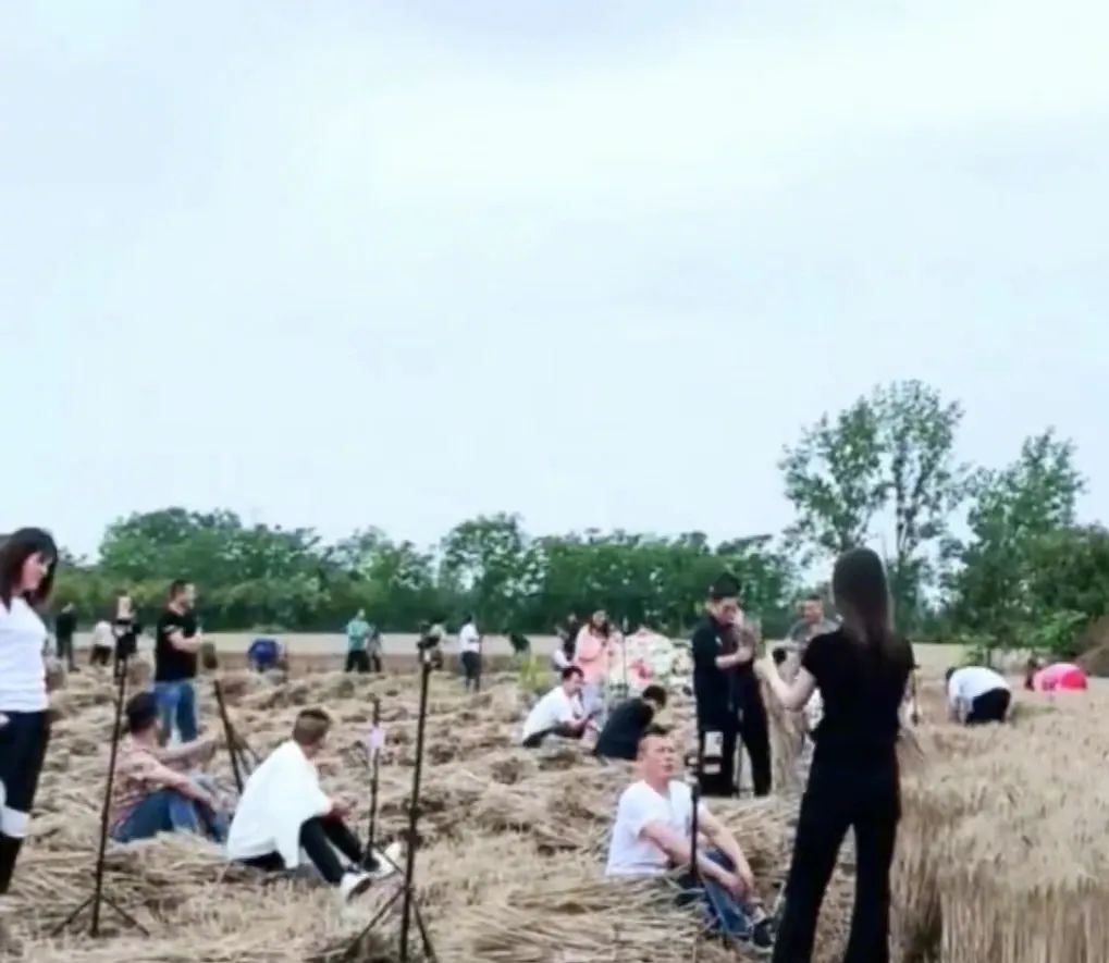 还要说多少次，救救河南人_百科TA说