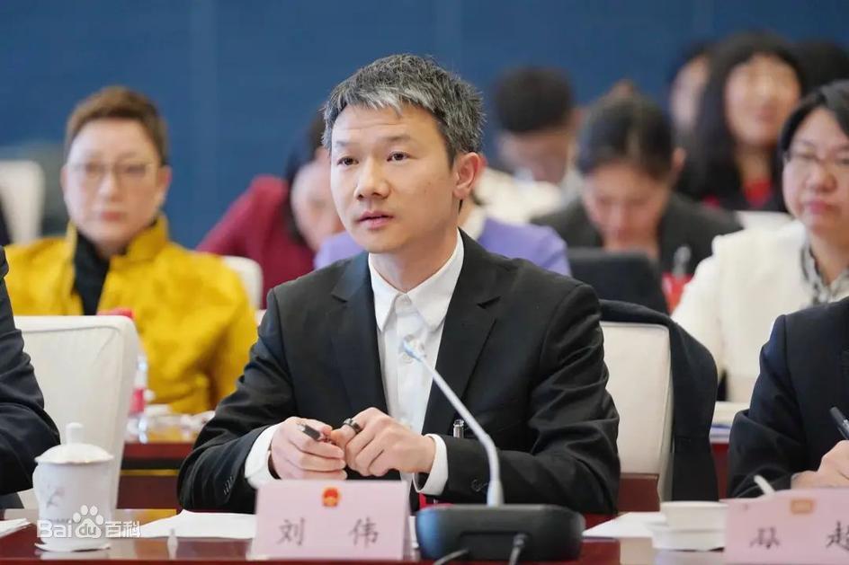 刘伟（米哈游联合创始人、CEO、董事长、总裁，上海市总商会兼职副会长）_百度百科