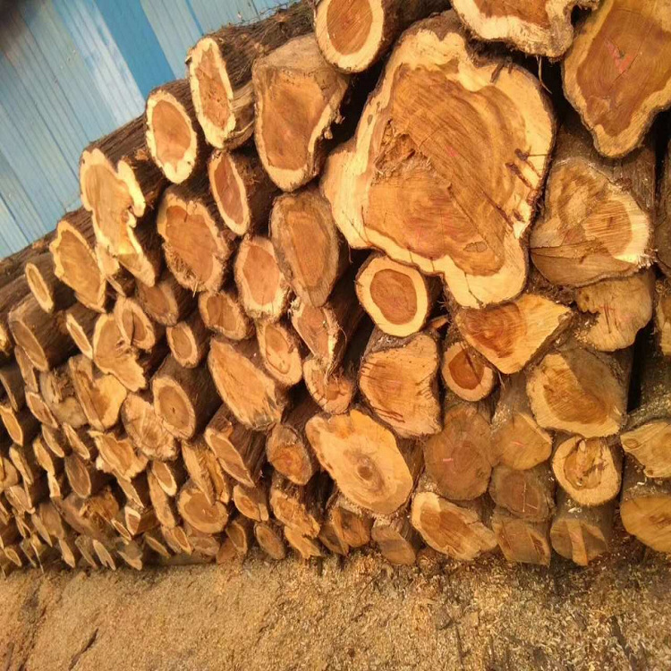  p>松柏木材是统一的外形,常称为"针叶树".