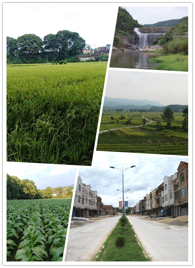 兴江乡,隶属江西省赣州市 a href="#" data-lemmaid="1124499">兴国县