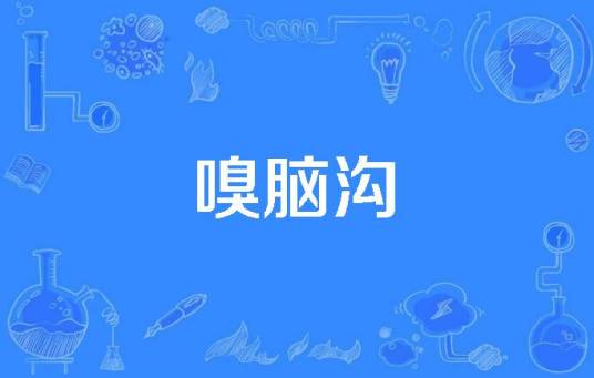 嗅脑沟_百度百科