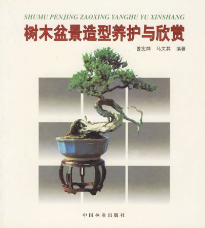 树木盆景造型养护与欣赏