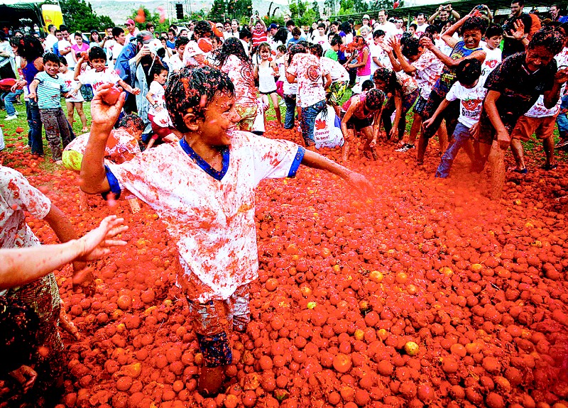 "/item/番茄/69104" data-lemmaid="69104">番茄 /a>大战(la tomatina