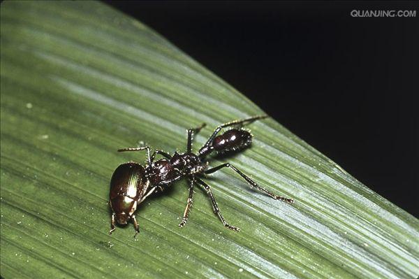 thnvqjwsnh8f"><span class="ref" data