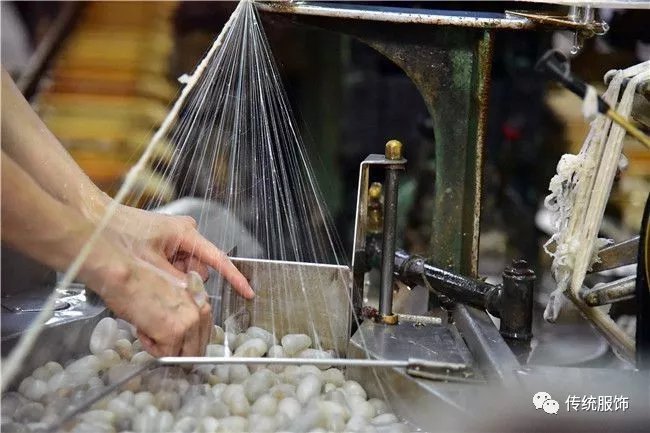 蚕宝宝吐的“蚕丝”是怎样变成“丝绸”的？自己在家能DIY吗？_百科TA说