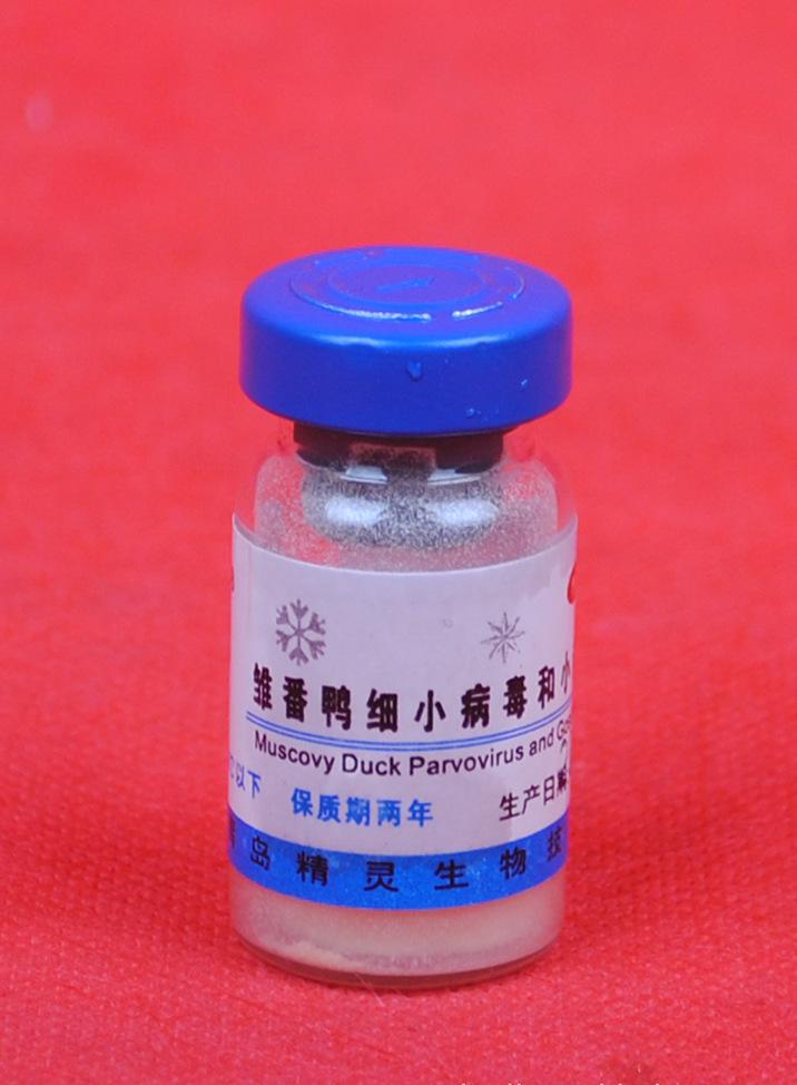 小鹅瘟活疫苗