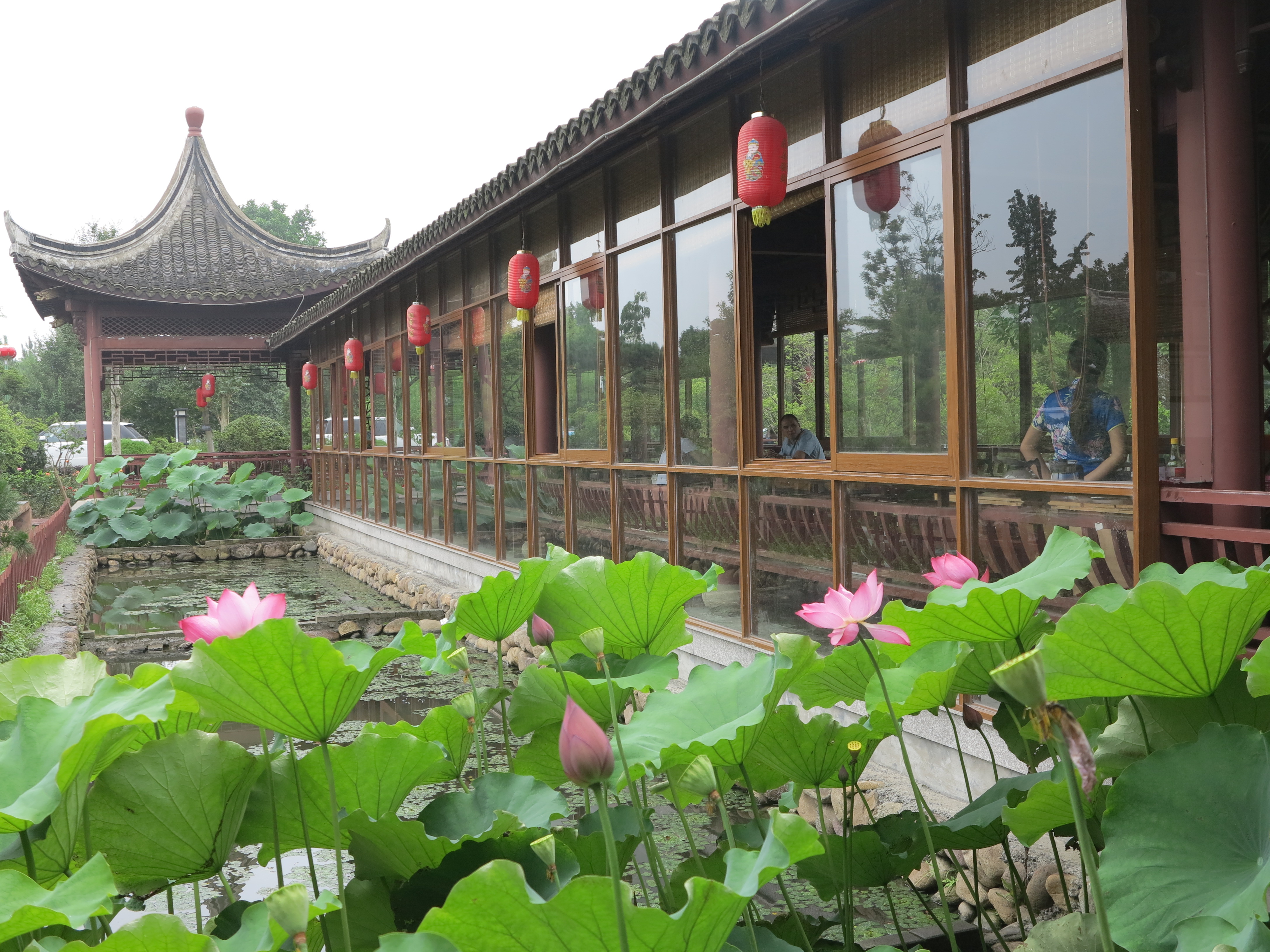  p> b>桐乡市稻乡人家景区(原稻香人家休闲农庄) /b>,位于素有"鱼米之