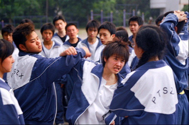  p>《十三棵泡桐》是由 a href="#" data-lemmaid="59490">吕乐 /a>