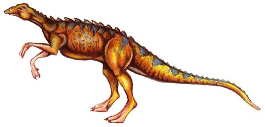 小盾龙(scutellosaurus)