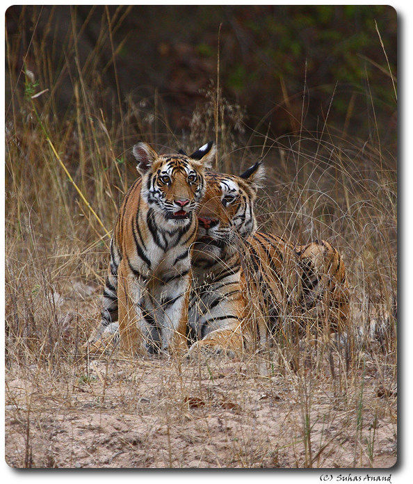 桂林雄森熊虎山庄