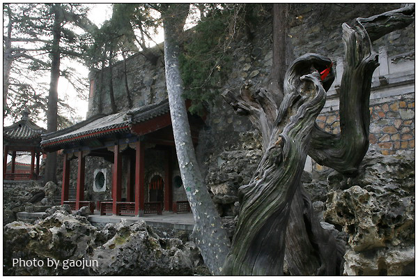水泉院