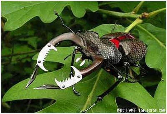  p>《未来世界的动物》是2008年1月 a target="_blank" href="/item