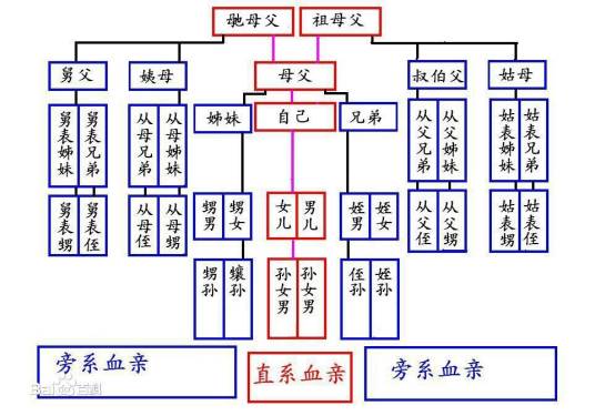 表姊妹_百度百科