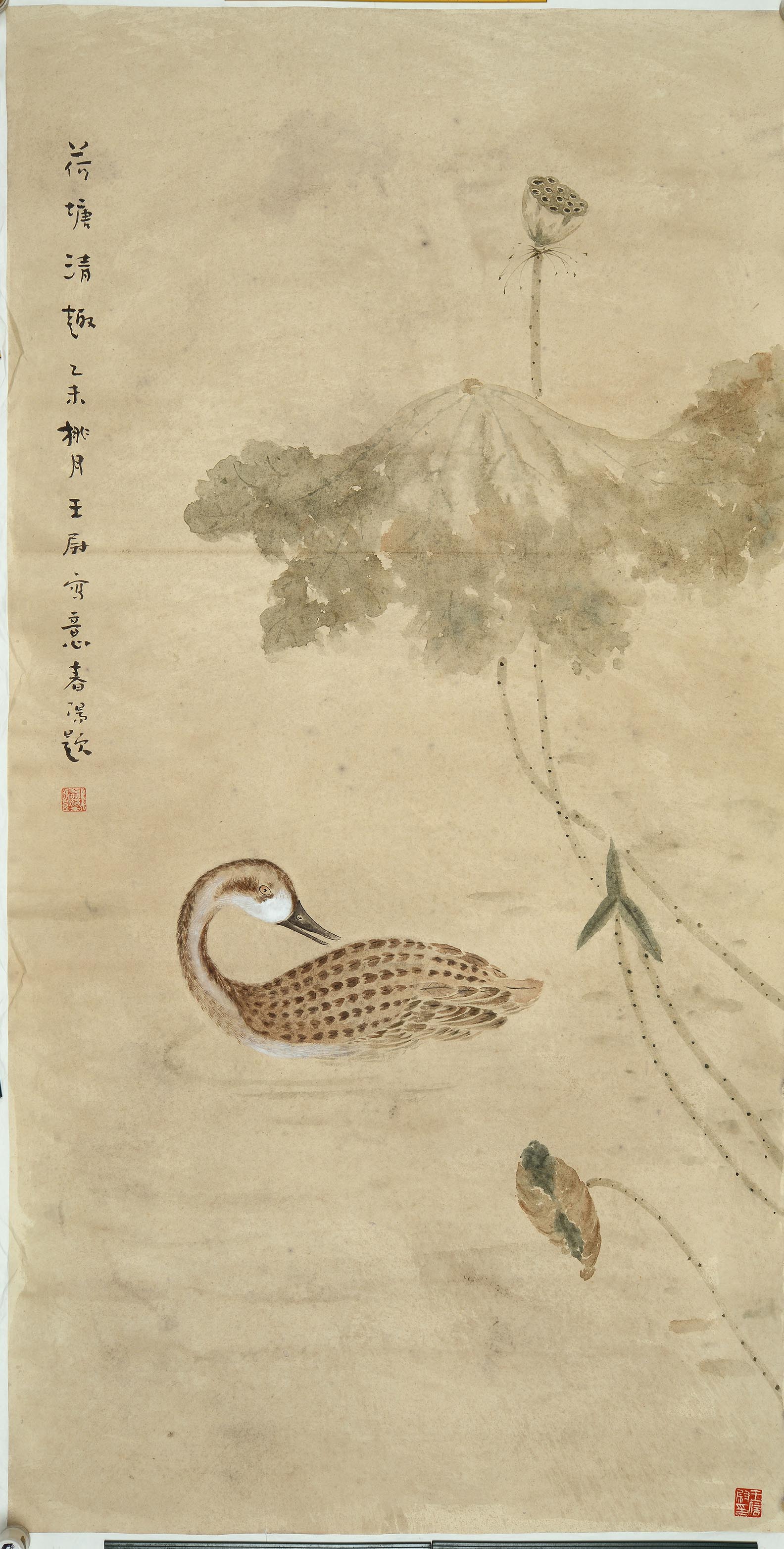 王尉