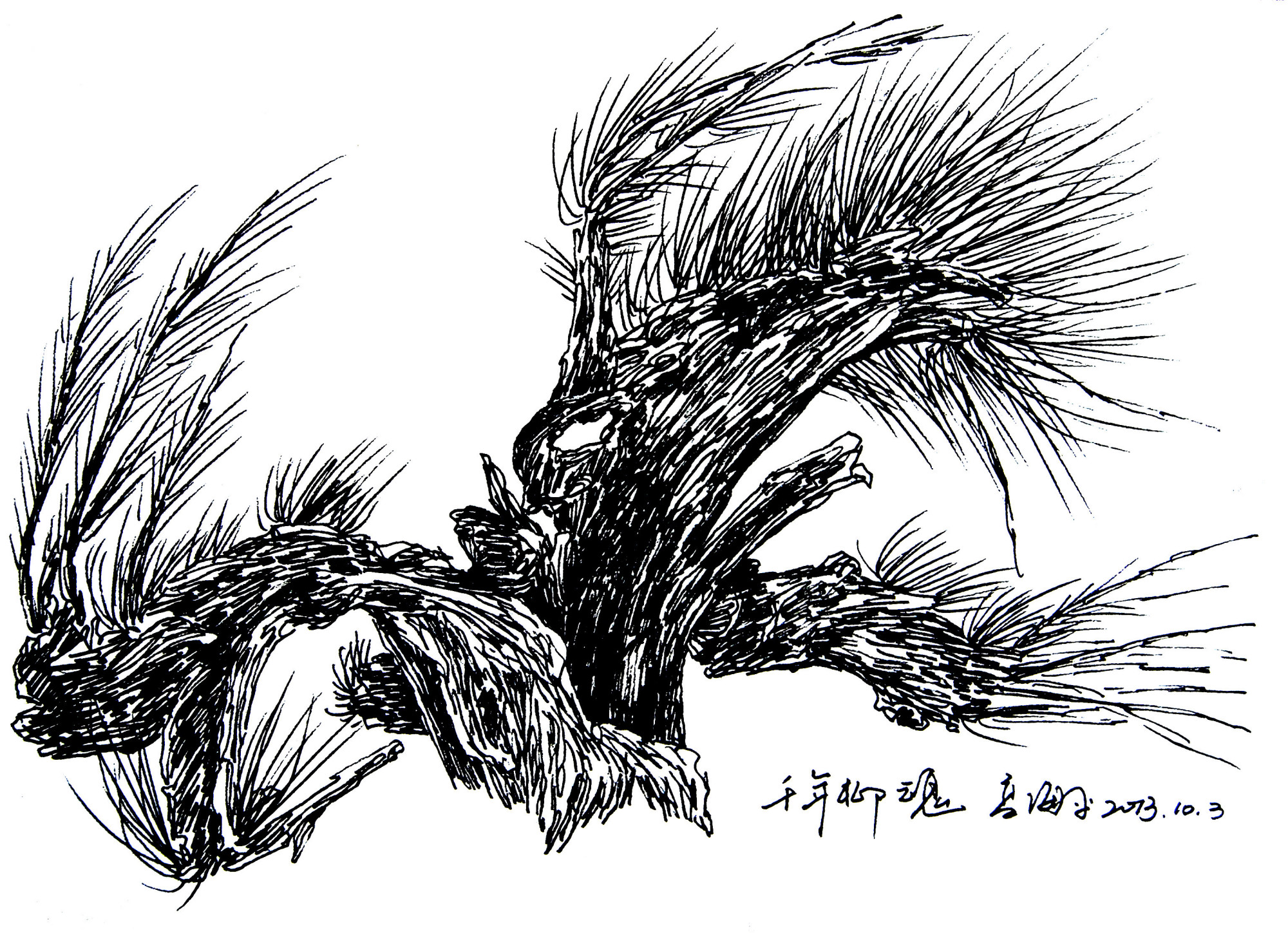 高海平速写作品《千年柳》系列欣赏_百科TA说