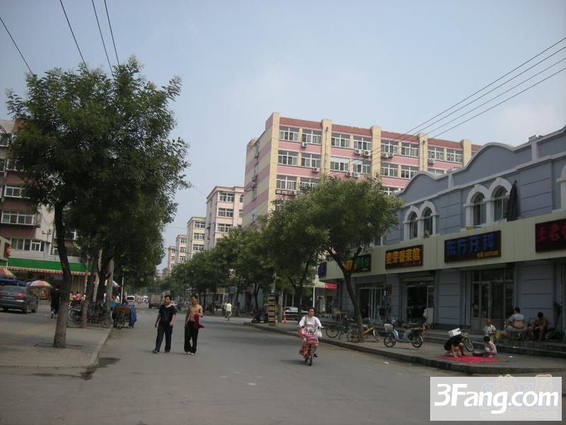 洪家楼街道