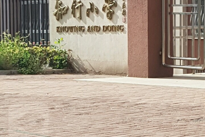 大连市沙河口区知行小学