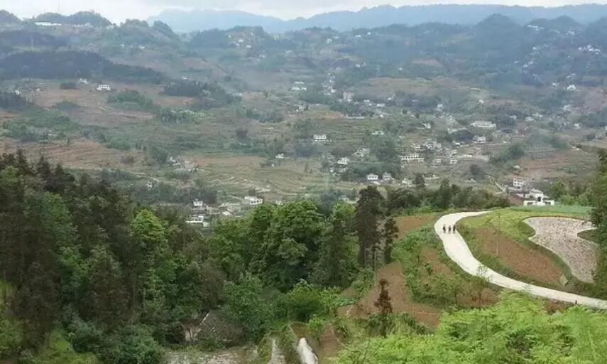  p>维新镇(已撤销),原隶属于四川省宜宾市筠连县,地处 a target="