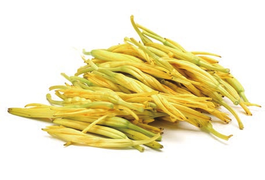 金针菜