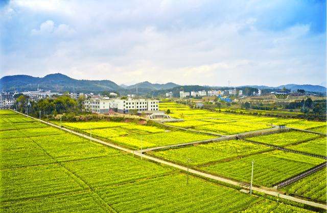  p>马桥镇,隶属于湖北省咸宁市咸安区,地处 a target="_blank" href="