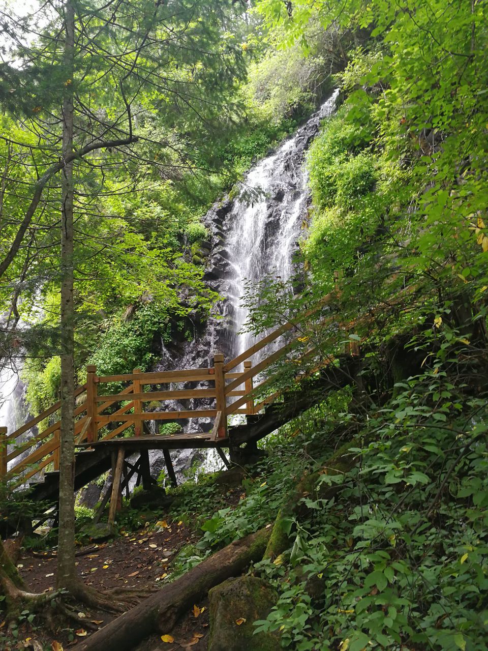  p>望天鹅新村地处吉林省长白山南麓,长白朝鲜族自治县县城中部,望