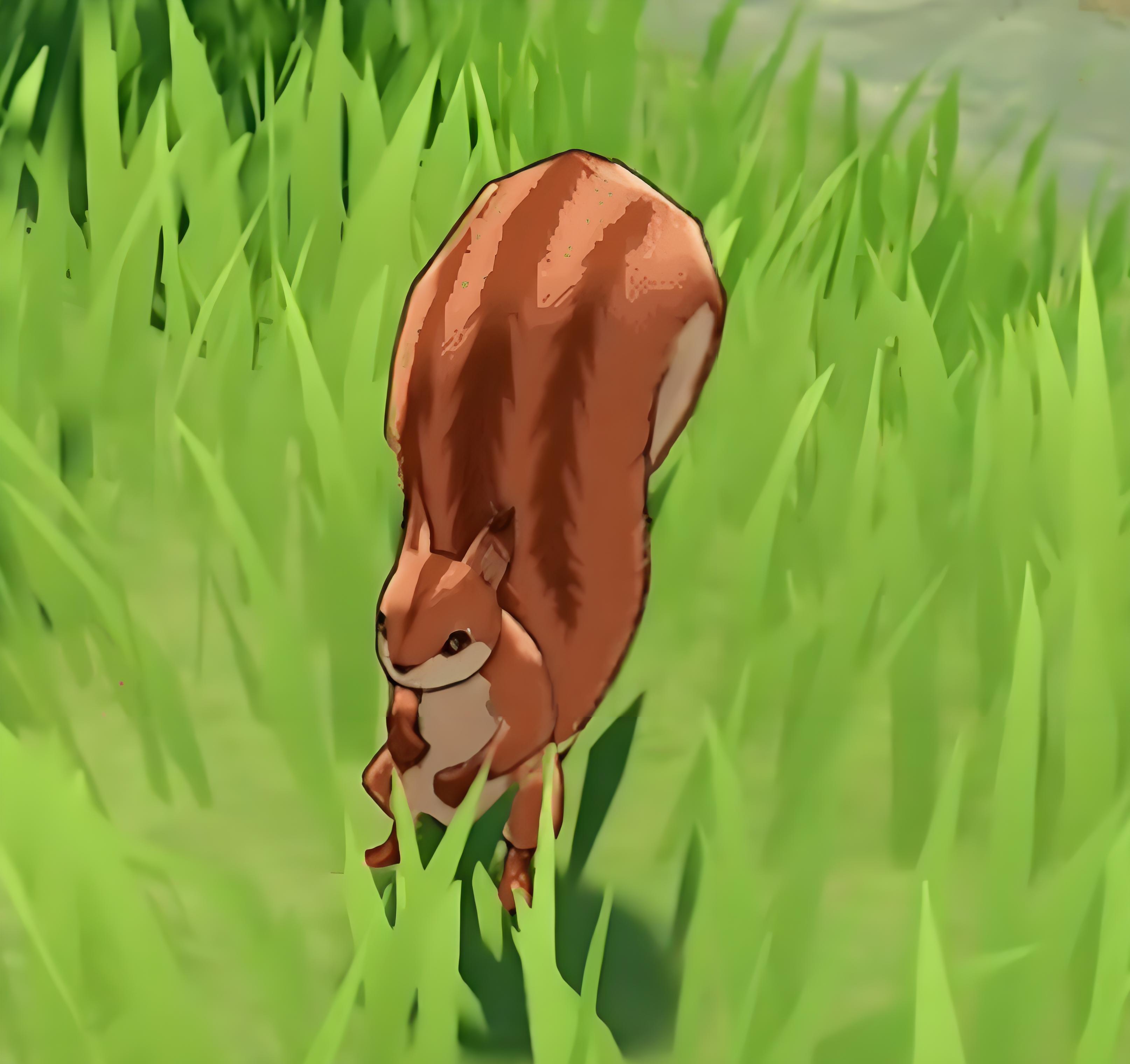 松鼠