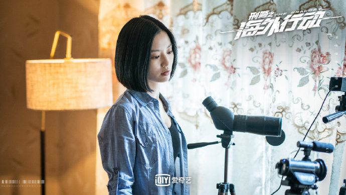 当代涉案剧《 a target="_blank" href="/item/刑警之海外行动
