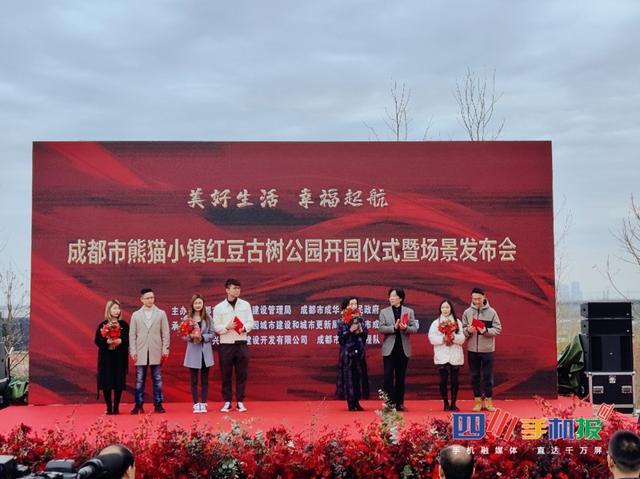 "在成华区熊猫小镇红豆古树公园内共有四株红豆古树,其中,3株呈群状