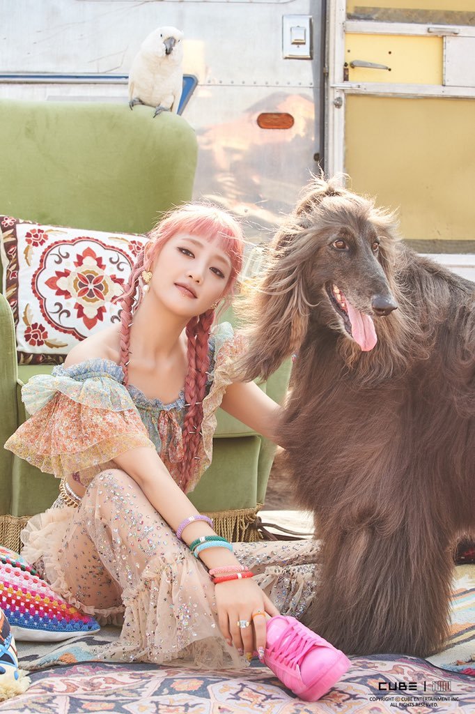 nicha yontararak),1997年10月23日出生于泰国曼