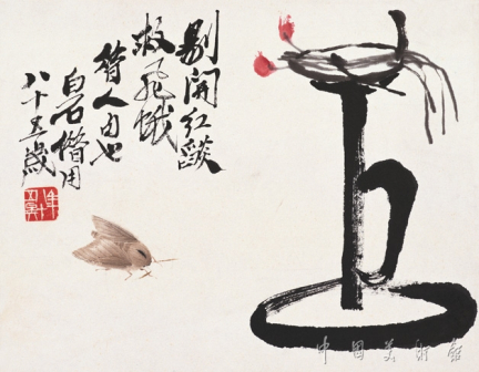油灯飞蛾