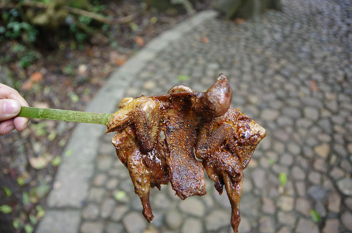  p data-id="gnbp9hflmq">香烤斑鸠,是一道以斑鸠为主要食材制作的