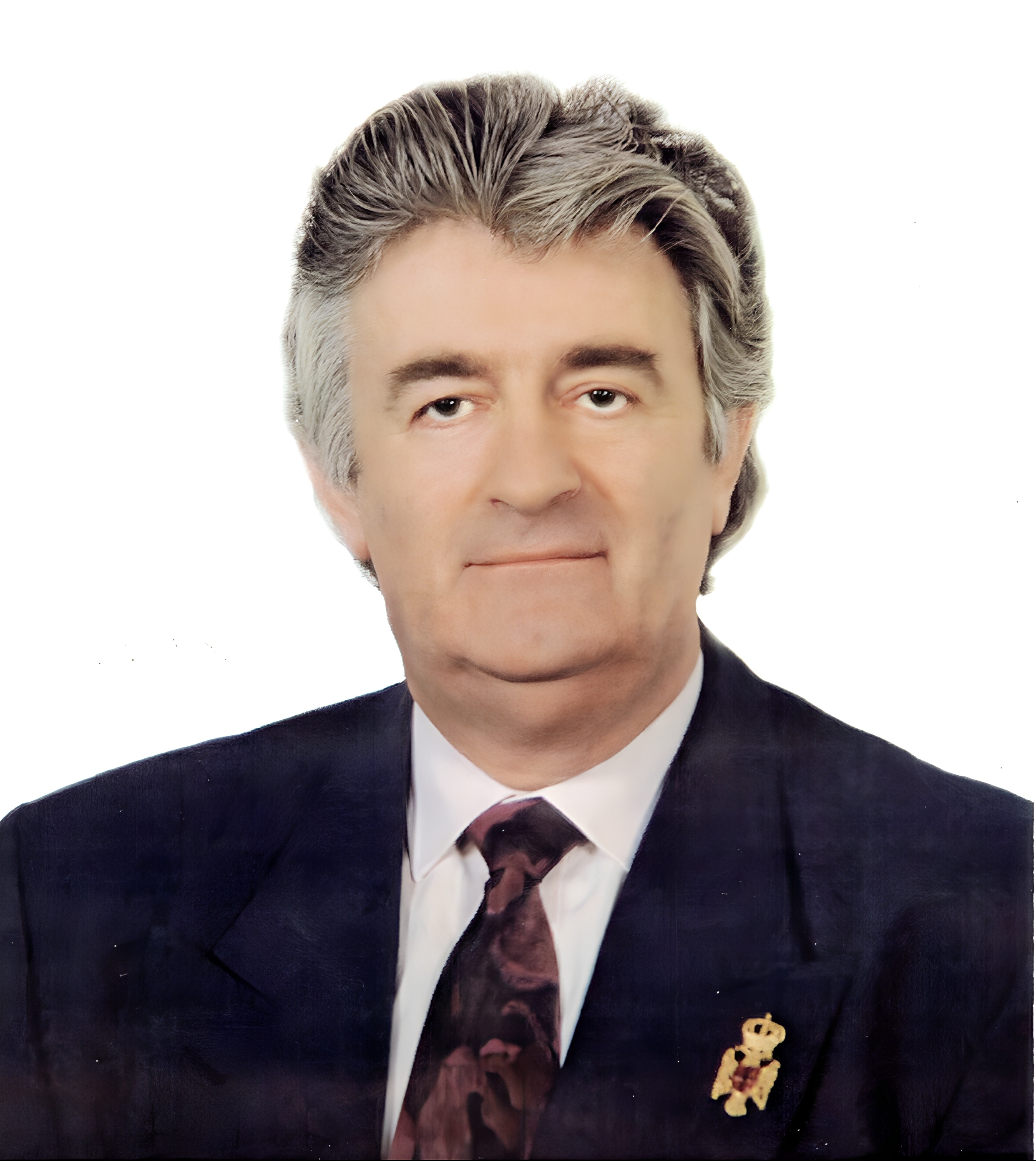 lemmaid="3394350">波黑塞族共和国总统