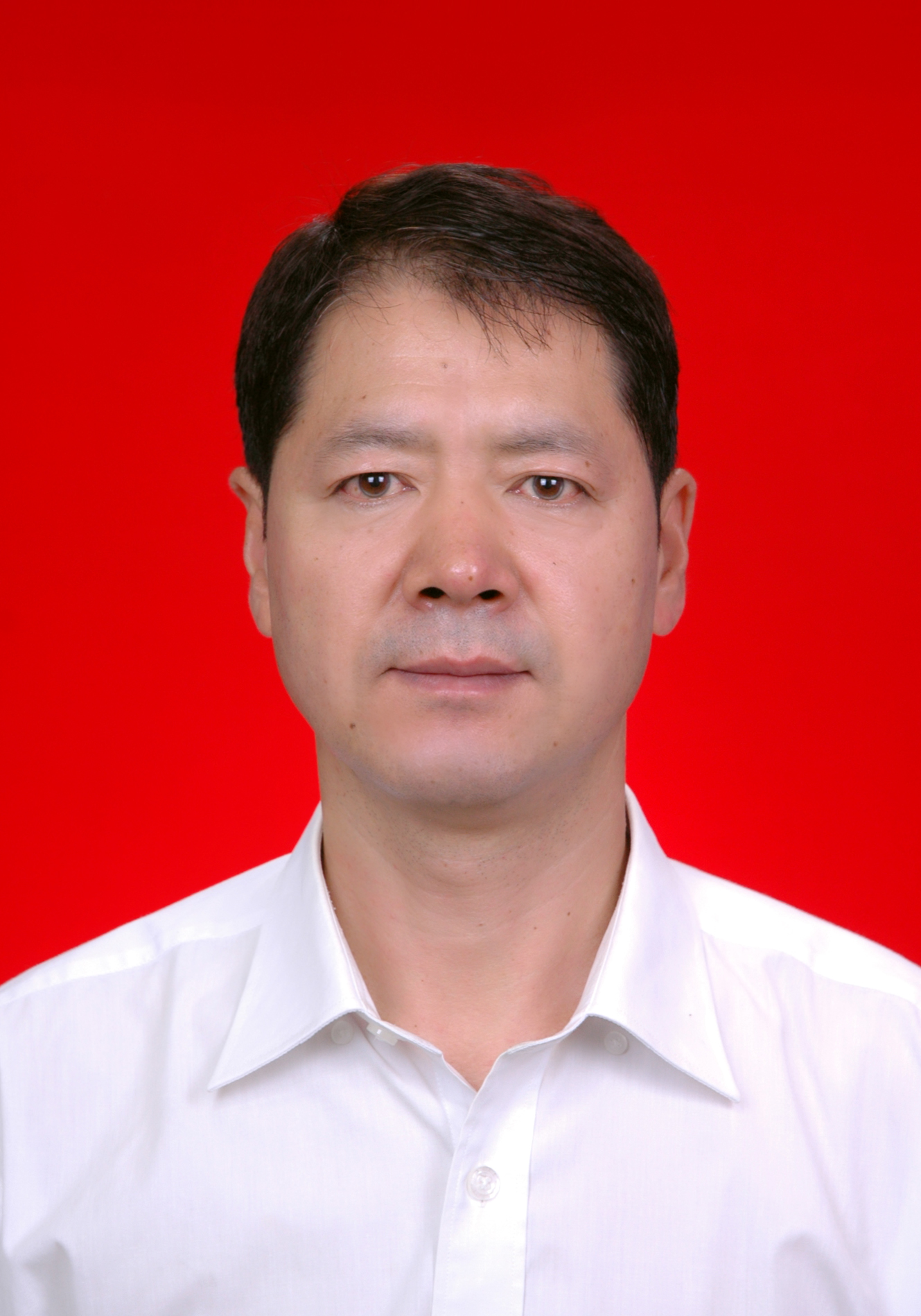  p>邸秀峰,男,汉族,1965年11月生,籍贯河北唐县,中共党员,全日制本科